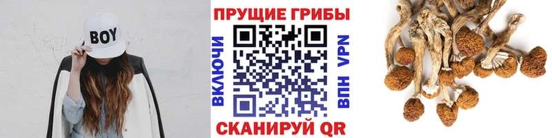 сайты даркнета телеграм  Нелидово  Псилоцибиновые грибы прущие грибы 